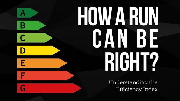 Efficiency index: how does it work?